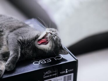 100 инструментов цифрового маркетинга, которые облегчат вам жизнь