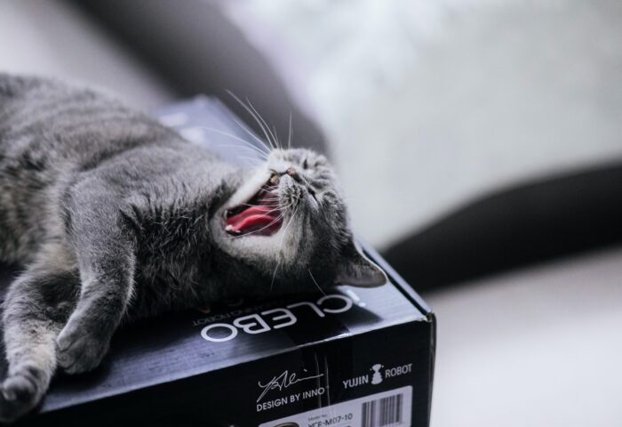 100 инструментов цифрового маркетинга, которые облегчат вам жизнь