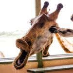 35 способов увеличить посещаемость сайта в 2022 году