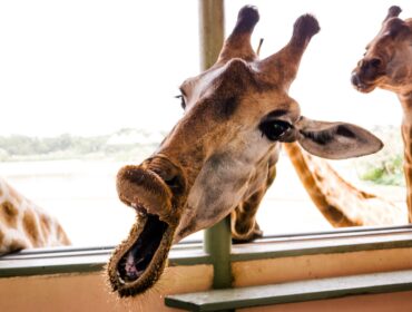 35 способов увеличить посещаемость сайта в 2022 году