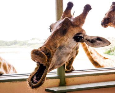 35 способов увеличить посещаемость сайта в 2022 году