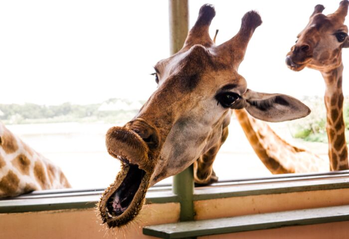 35 способов увеличить посещаемость сайта в 2022 году