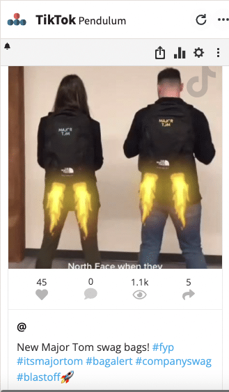 TikTok Pendulum Major Tom swag bags