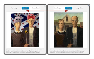 TinEye Reverse Image Search