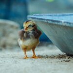 20 лучших программных инструментов для обеспечения кибербезопасности