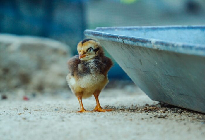 20 лучших программных инструментов для обеспечения кибербезопасности