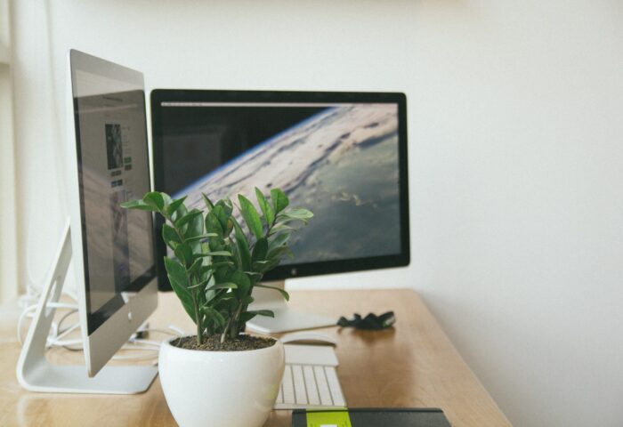 Wix vs Shopify: кто является абсолютно лучшим?