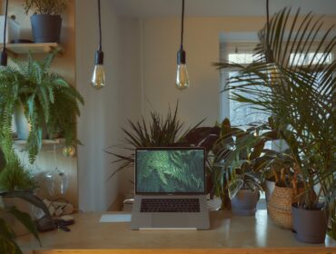 9 бесплатных сертификационных курсов, чтобы стать цифровым маркетологом