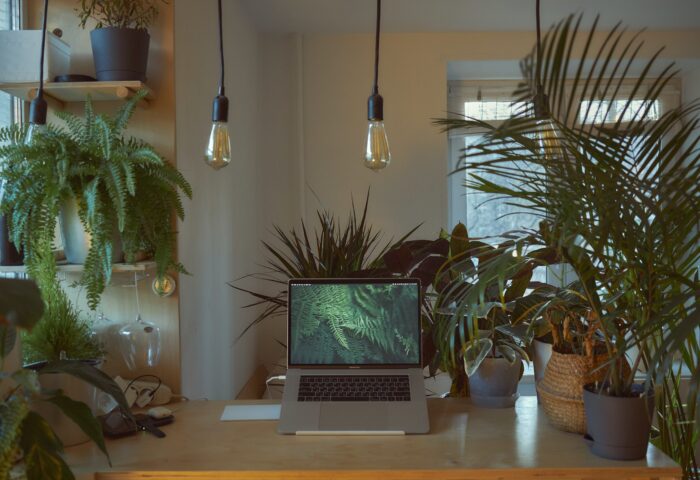 9 бесплатных сертификационных курсов, чтобы стать цифровым маркетологом