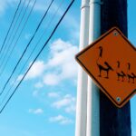 30 верных способов увеличить посещаемость вашего сайта (и повлиять на доходы)