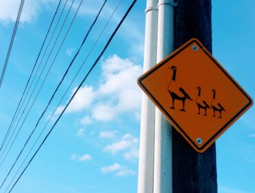 30 верных способов увеличить посещаемость вашего сайта (и повлиять на доходы)