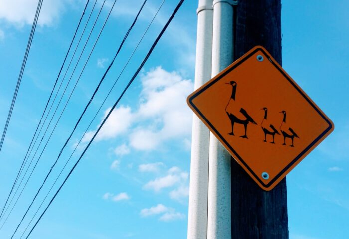 30 верных способов увеличить посещаемость вашего сайта (и повлиять на доходы)