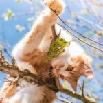 5 лучших онлайн инструментов проверки грамматики для 2022 года