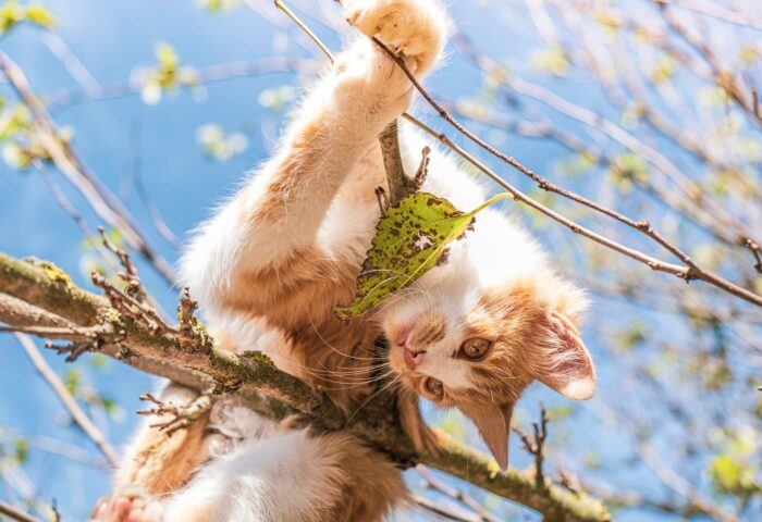 5 лучших онлайн инструментов проверки грамматики для 2022 года