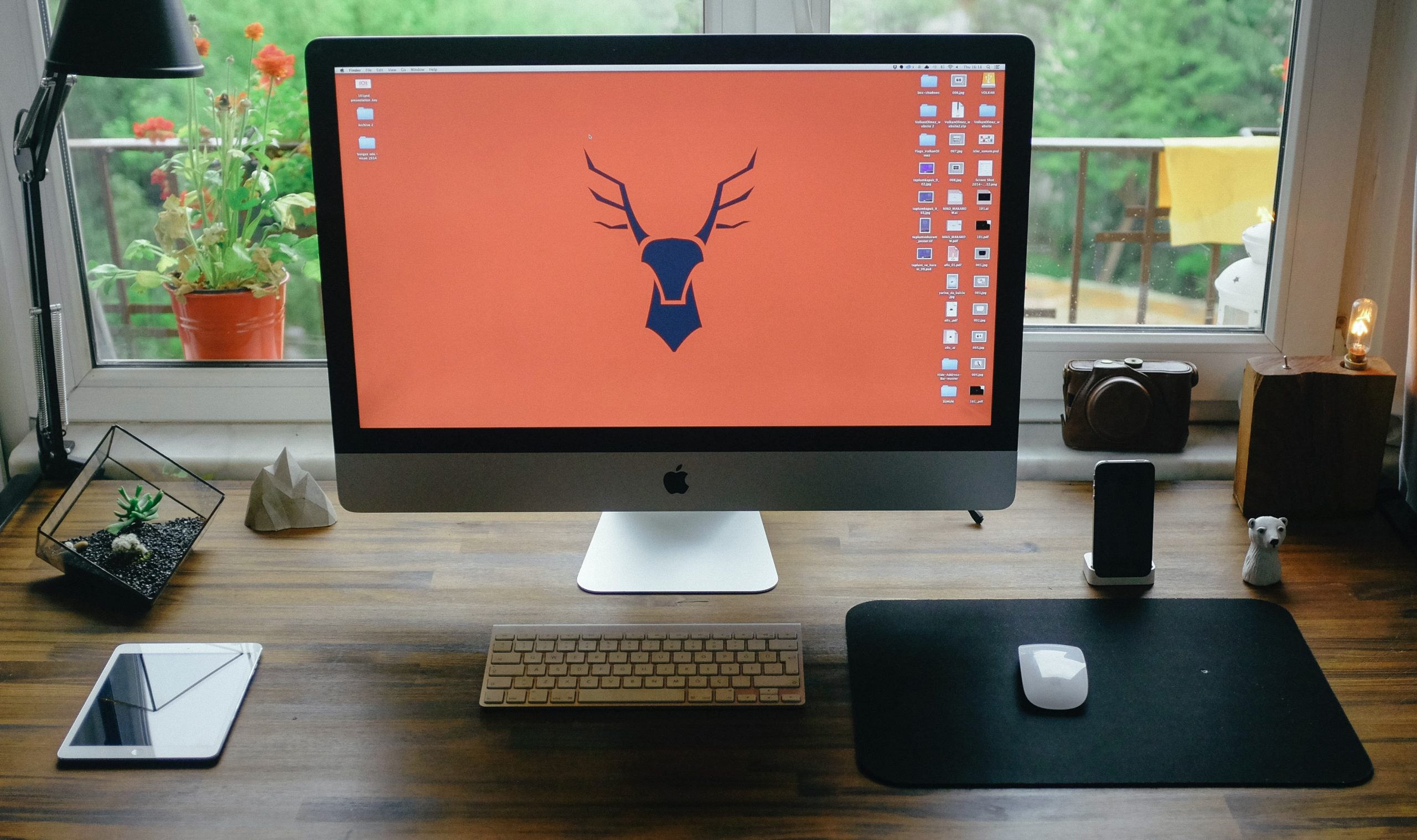 12 лучших анимационных программ для создания объясняющего видео