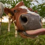 Выбор лучшего плагина безопасности WordPress: сравнение 12 лучших плагинов