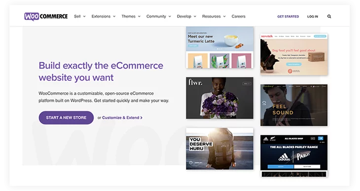 woo-commerce an ecommerce tool